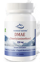 DMAE (Диметиламиноэтанол) 250 мг 90 таблеток (Norway Nature)