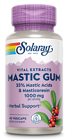 Solaray Vital Extracts Mastic Gum 35% Mastic Acids & Masticoresin (Мастиковая смола, 35% Мастиковых кислот и мантикоры) 1000 мг. 45 растительных капсул