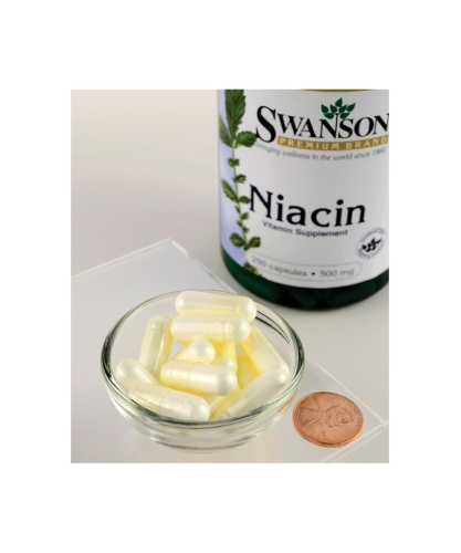 Niacin B3 500 mg (Ниацин Витамин Б3) 250 капс (Swanson) фото 2