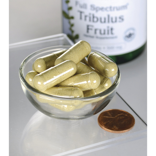 Tribulus Fruit 500 мг 90 капсул (Swanson)_ фото 3