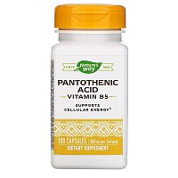 Pantotenic Acid (Пантотеновая кислота витамин B5) 500 мг 100 капсул (Nature's Way)
