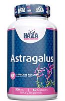 Haya Labs Astragalus (Астрагал) 500 мг. 60 капсул