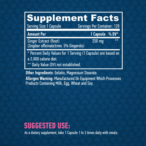 Ginger 250 мг (Имбирь) 120 капсул (Haya Labs) фото 2