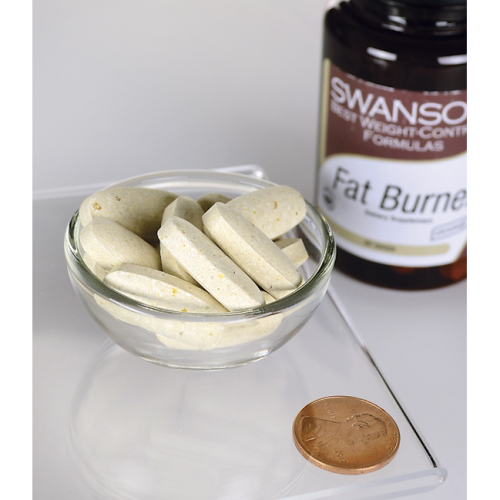Fat Burner (Сжигатель жира) 60 таблеток (Swanson) фото 3