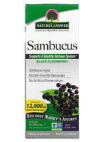 Sambucus Black ElderBerry 12,000 mg (черная бузина 12 000 мг) 120 мл (Nature's Answer)