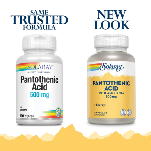 Solaray Pantothenic Acid (Пантотеновая кислота) 500 мг. 100 растительных капсул фото 2