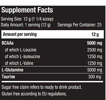 Scitec Nutrition BCAA + Glutamine Xpress 300 гр.