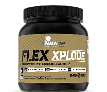 Olimp Flex Xplode 504 г.