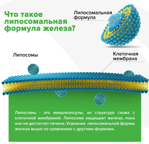 Liposomal Iron (Липосомальное Железо) 25 мг 90 капсул (Orzax) фото 3