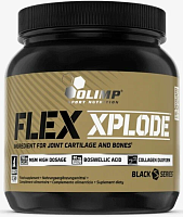 Olimp Flex Xplode 504 г.