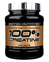 100% Creatine Monohydrate (Креатин Моногидрат) 1000 г (Scitec Nutrition)