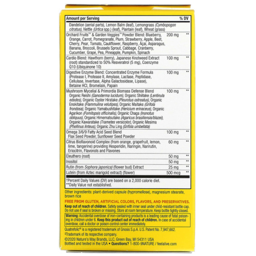 Alive! Max6 Potency (мультивитамины повышенной эффективности с железом) 90 капсул (Nature's Way) фото 2