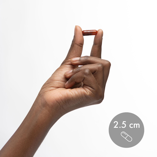 Liposomal Vitamin C 1000 mg (Липосомальный витамин Ц 1000 мг (в 2-х капсулах) 60 капс (Dr. Mercola) фото 4