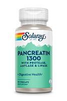 Pancreatin 1300 with Protease, Amilase & Lipase (Панкреатин) 90 вег капсул (Solaray)