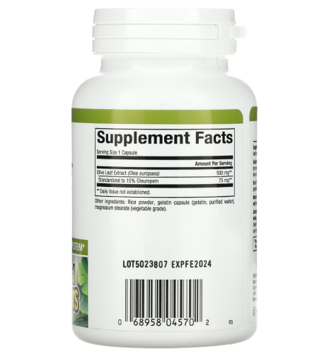 Olive Leaf 500 mg Herbal Factors (Листья оливкового дерева) 90 капсул (Natural Factors) фото 4