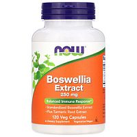 Now Foods Экстракт босвеллии (Boswellia Extract) 250 мг. 120 вегетарианских капсул